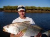 Port Hedland Croaker